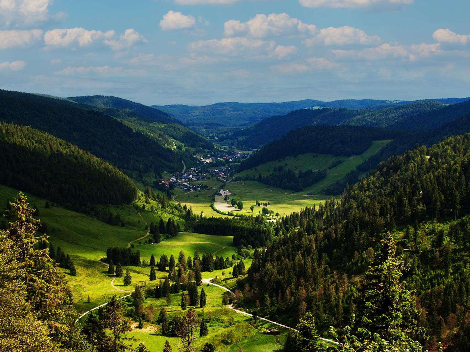 Black Forest Luxury Apartment Baerenhoehle Mit Sauna Schluchsee Exteriér fotografie